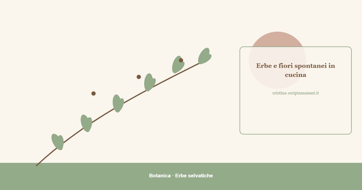 Erbe spontanee, frutta e tisane da essiccare in casa