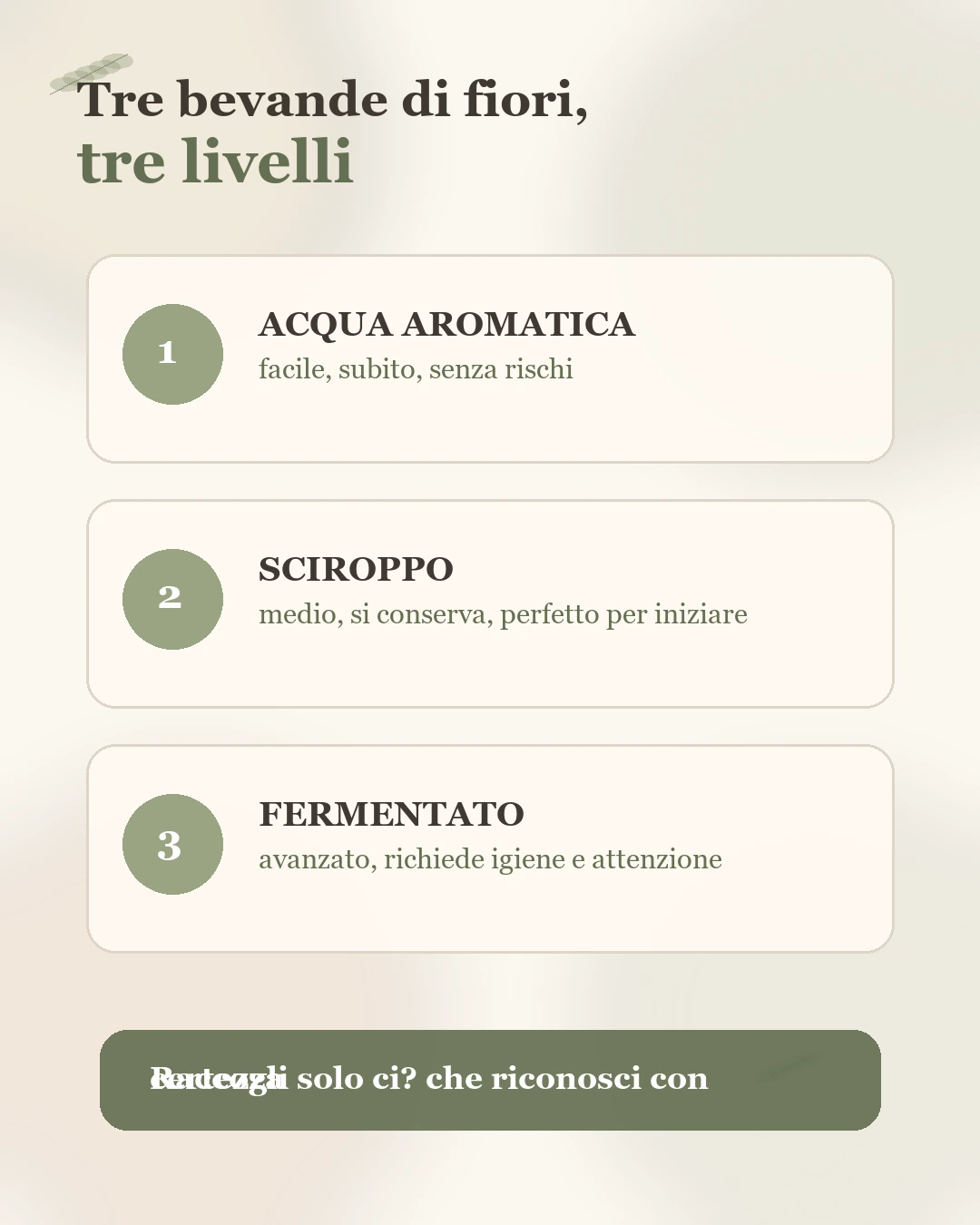 Infografica Tre bevande di fiori tre livelli con acqua aromatica, sciroppo e fermentato